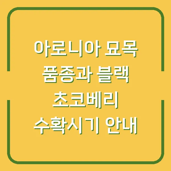 아로니아 묘목 품종과 블랙 초코베리 수확시기 안내
