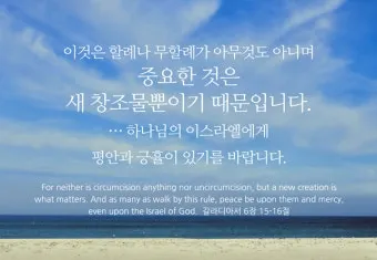 갈라디아서 6장 14절 묵상 십자가의 자랑_21