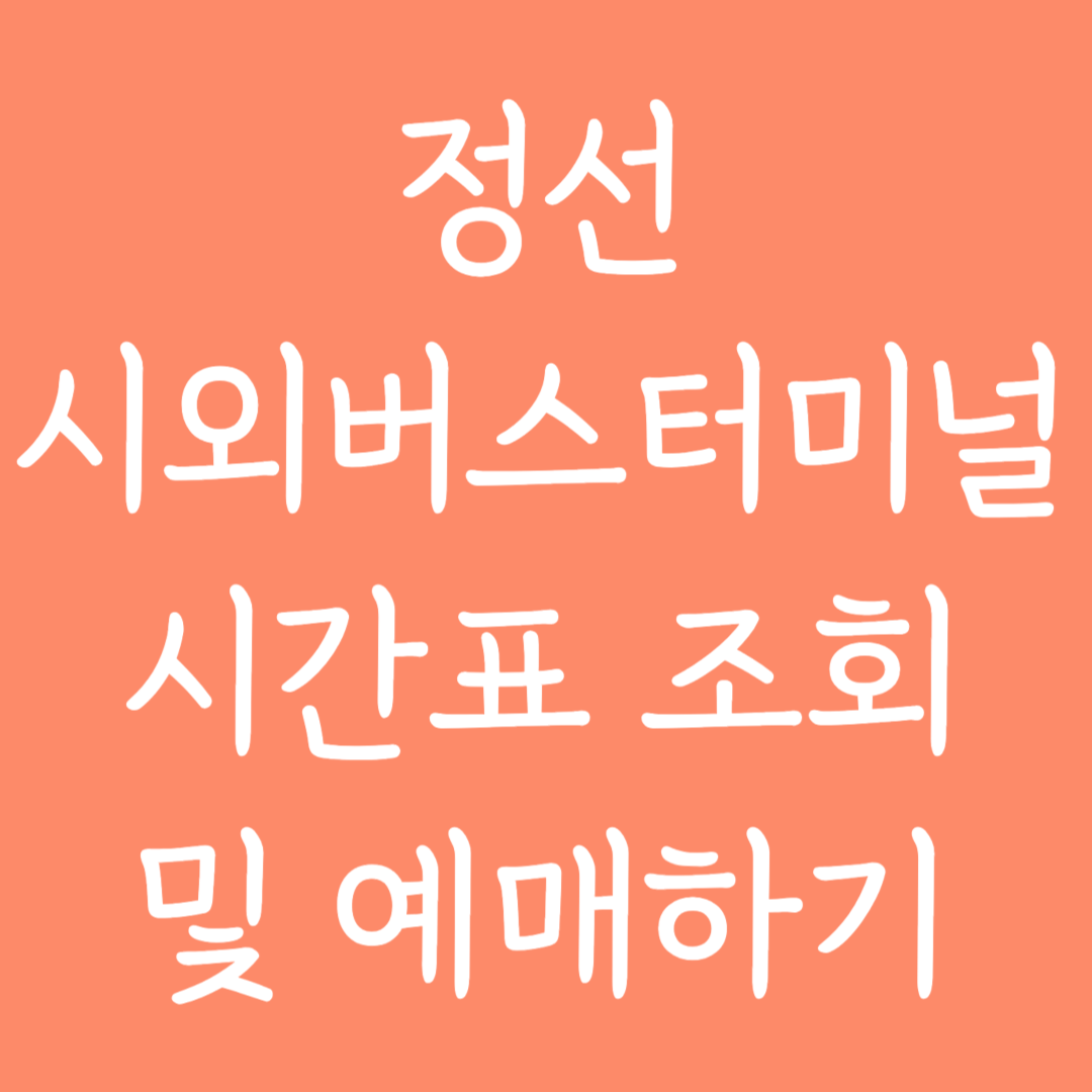 정선 시외버스터미널 시간표조회 및 예매하기