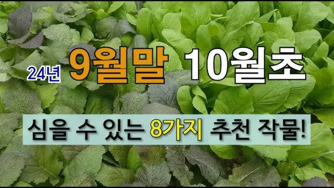 2025년 10월에 파종하기 좋은 작물들 농업 재배법_1