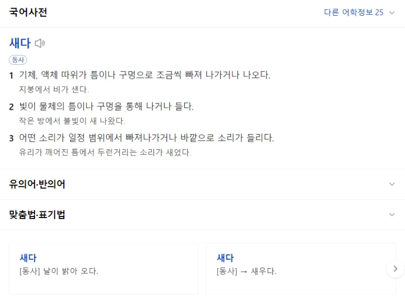 새어나오다 세어나오다 맞춤법 뜻 유래_8