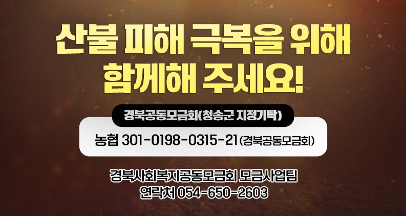 청송군청 재난지원금 온라인 신청