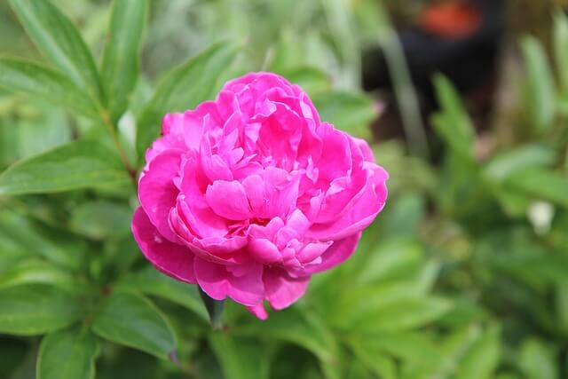 화담숲 입장료 예약