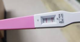 임테기 가로줄