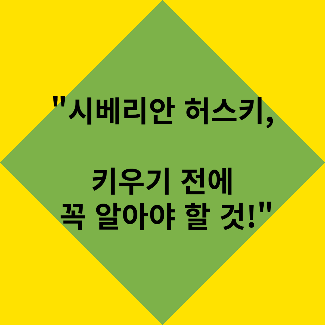 시베리아허스키, 반려 연계의 늑대?! 🐺