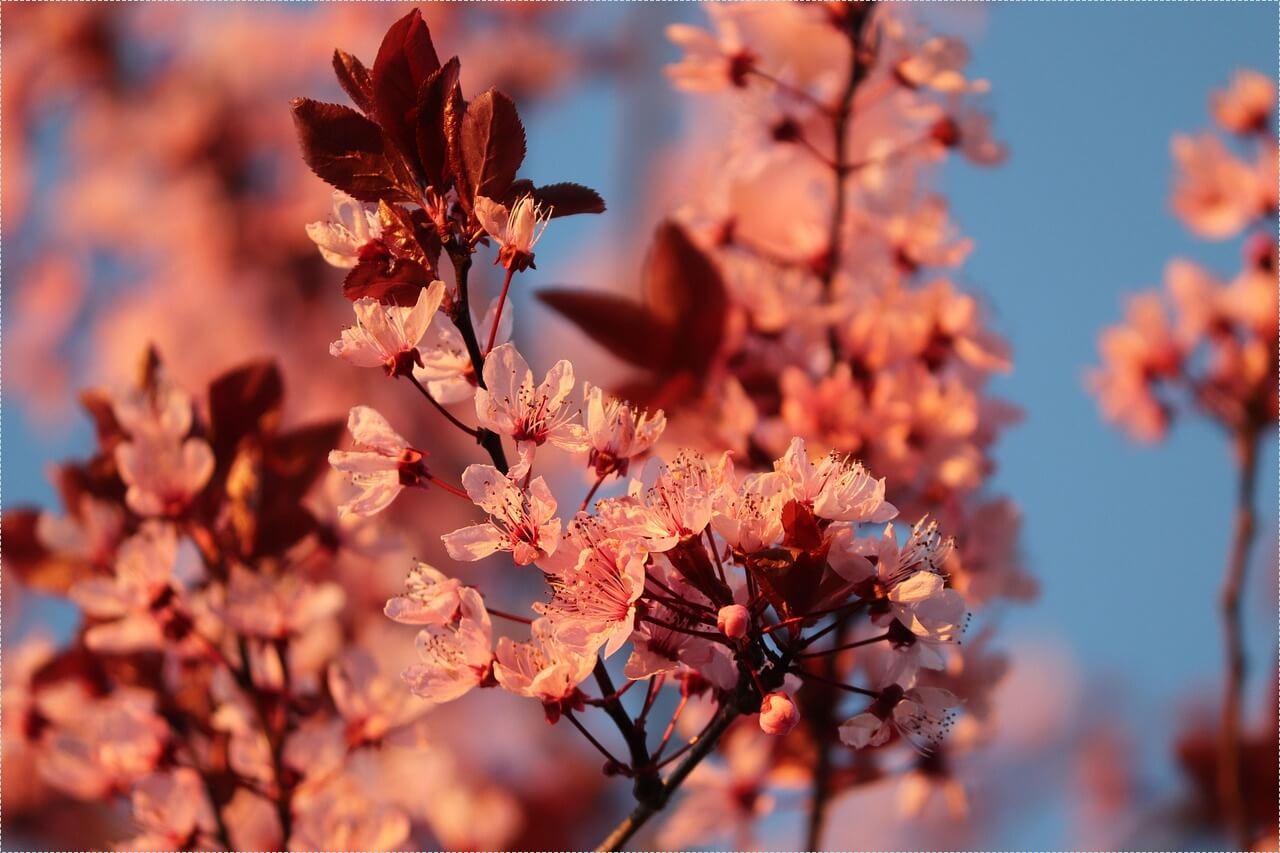 1억 은행 예금이자