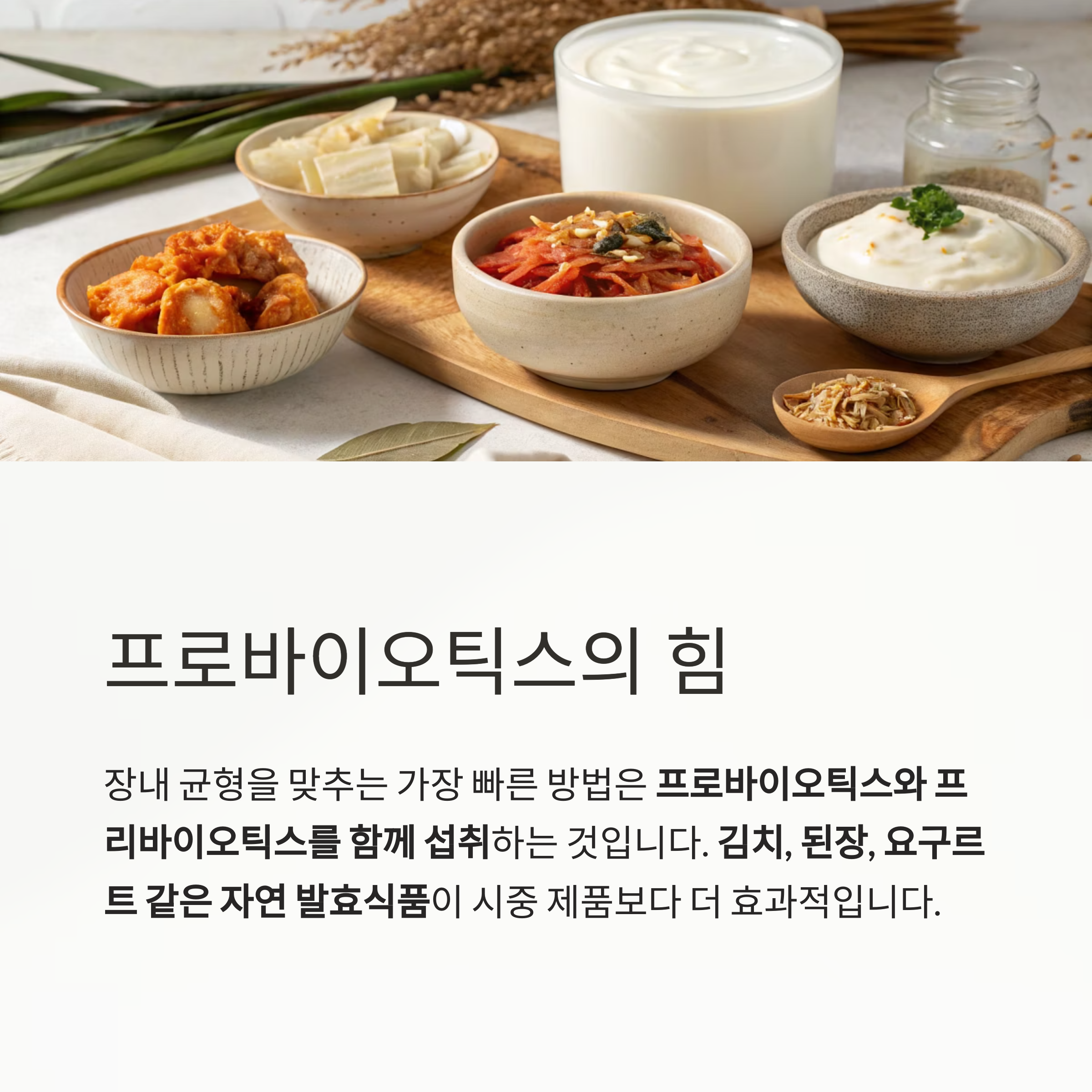 프로바이오틱스의 힘