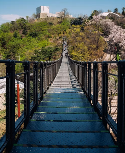계절마다 빛나는 한국