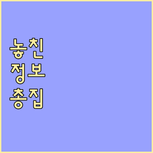 명절 자금 걱정 끝! 부산시 추석 운..