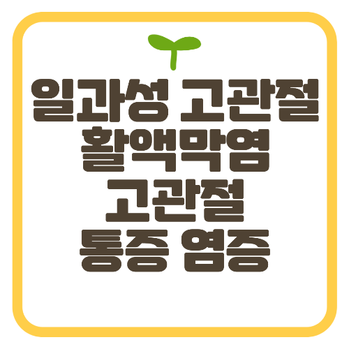 일과성 고관절 활액막염 고관절 통증 염증