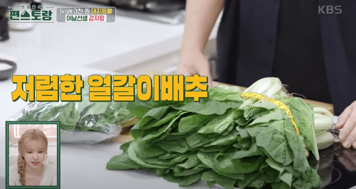 얼갈이배추로 우거지 만들기