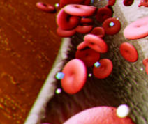 저혈당이 오는 이유