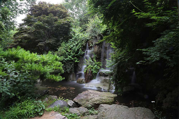 수목원1