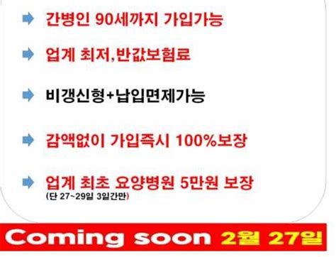 간병인 지원 보험