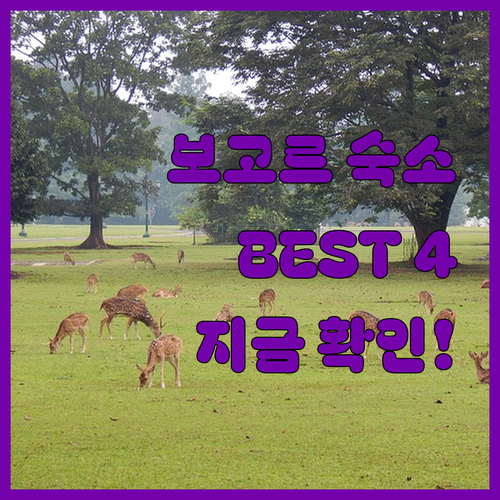 인도네시아 보고르 숙소 추천 4곳 위..