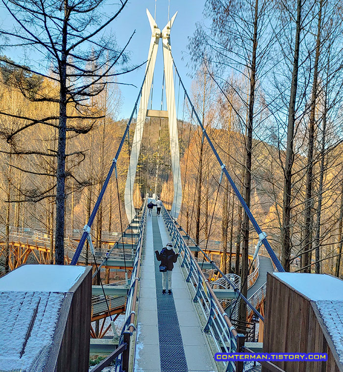 장태산 자연휴양림 출렁다리