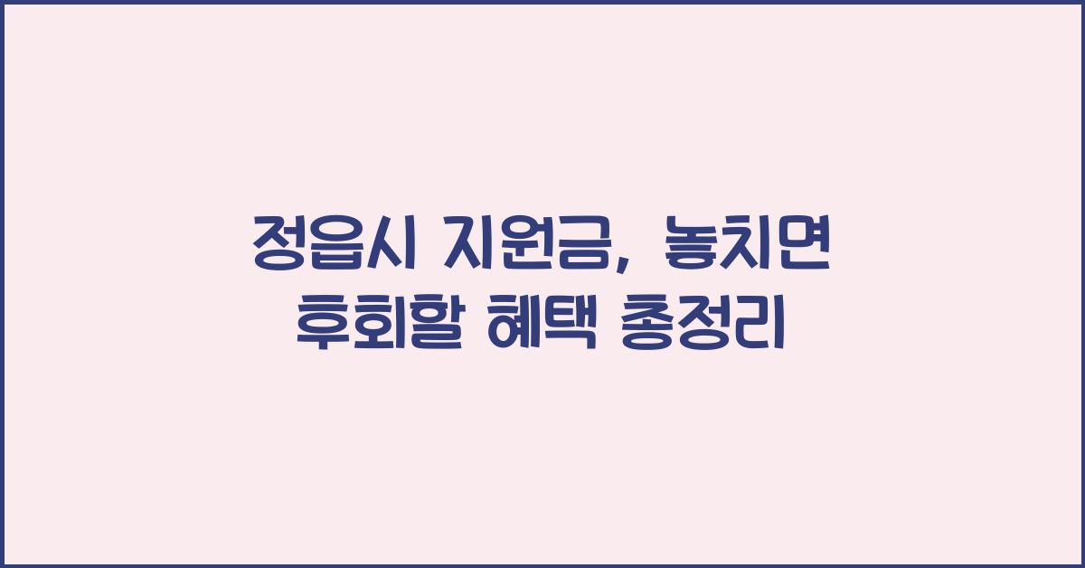 정읍시 지원금