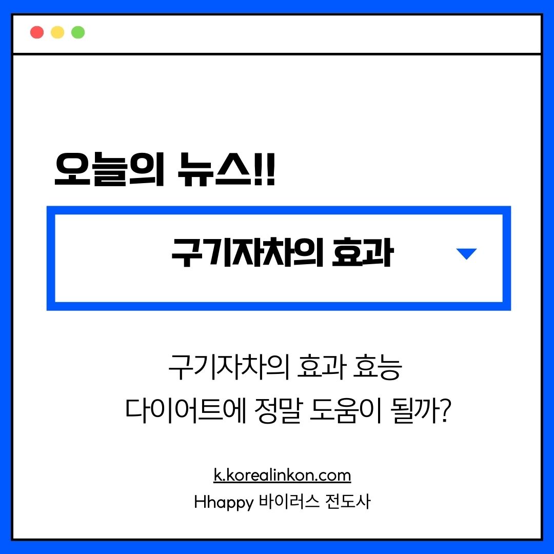 구기자차의 효과 효능 다이어트에 정말 도움이 될까?