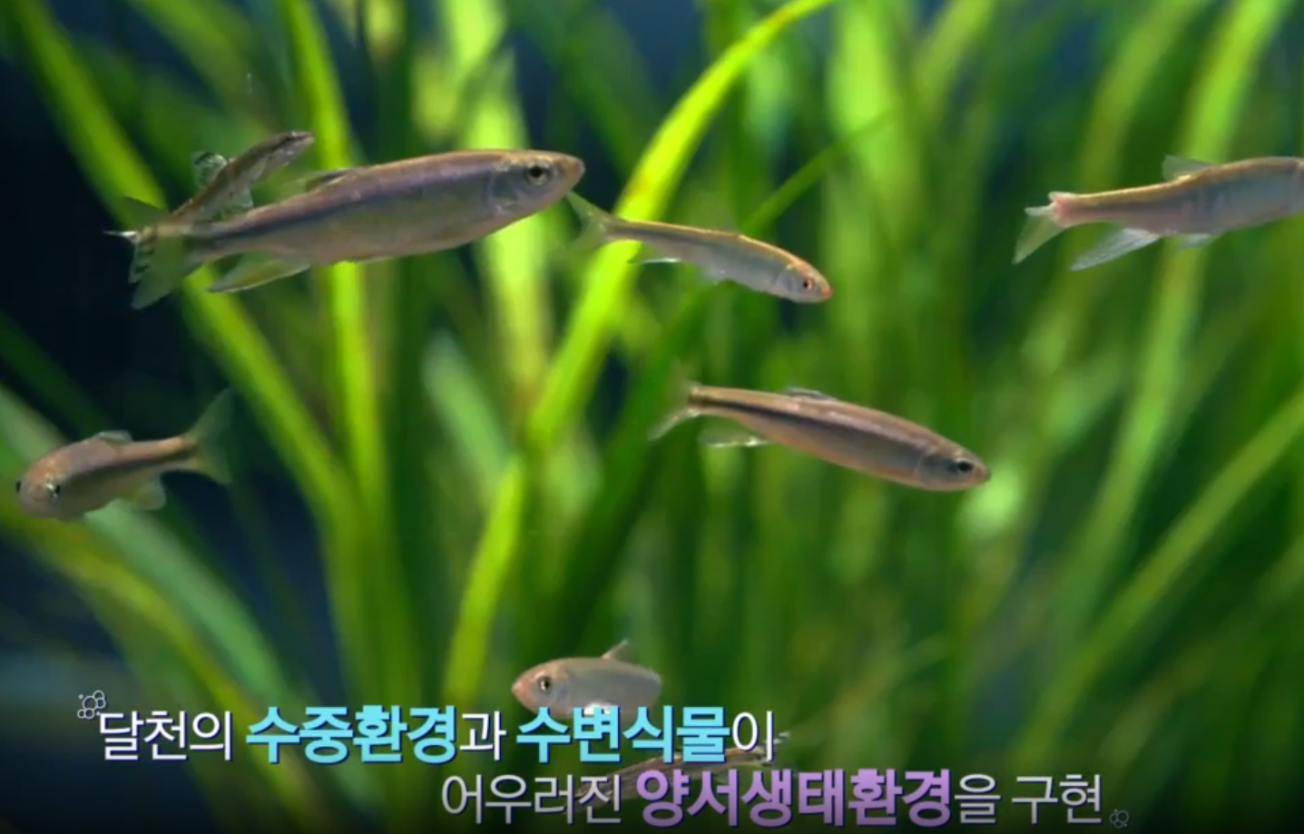 충북 아쿠아리움 정보 안내