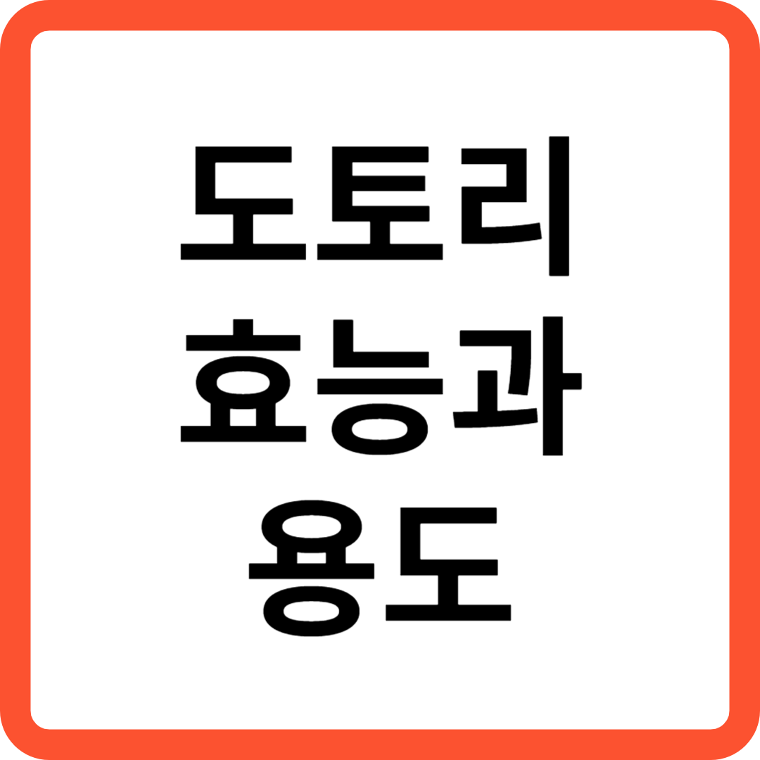 도토리 효능과 용도