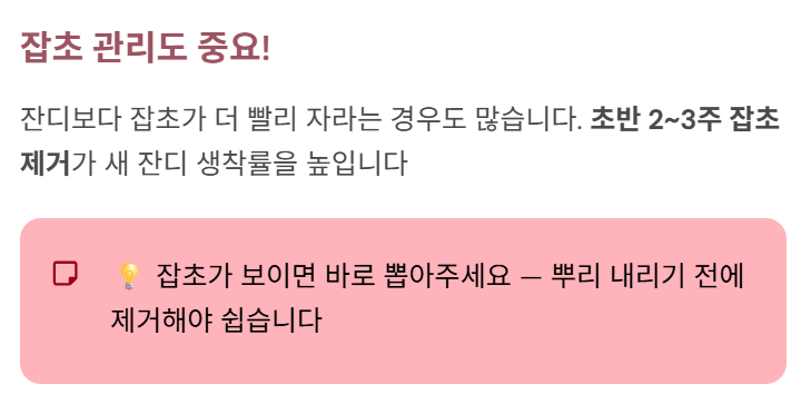 잡초 관리도 중요