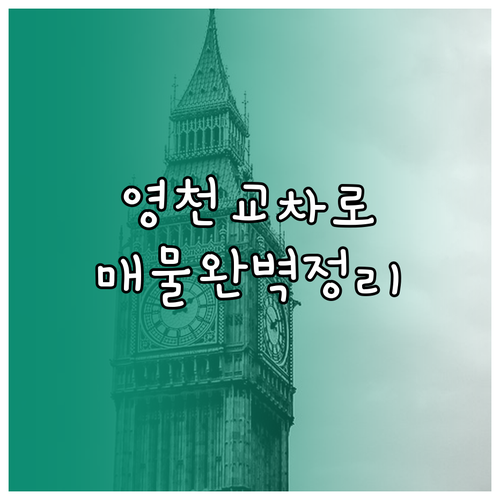 영천 교차로 부동산 매물 확인 방법 ..