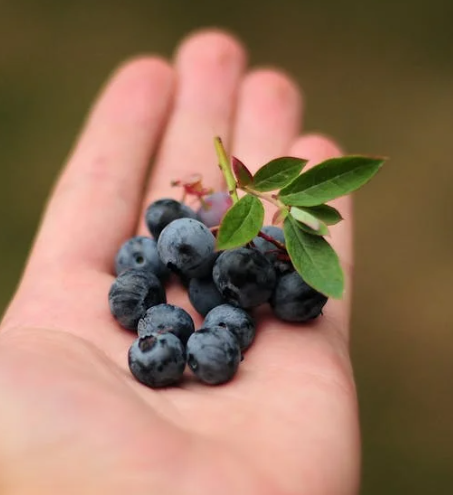 피부에 좋은 음식