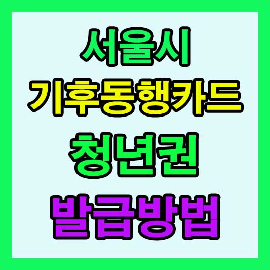 서울시 기후동행카드 청년권 발급방법 총정리