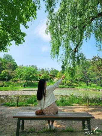 오산 가볼만한곳 맛집 카페 추천 반려견 사진 명소_21