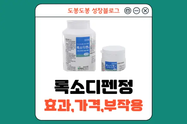 록소디펜정 안내 이미지