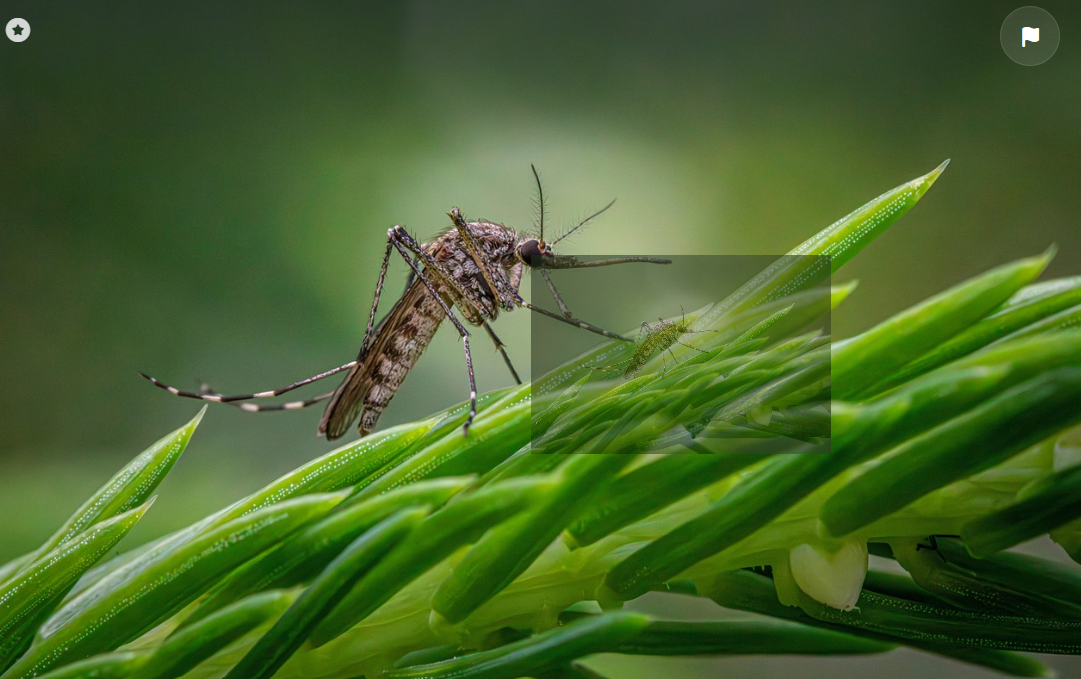 이미지삽입-픽사베이
