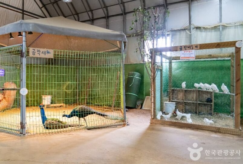 시흥 가볼만한곳 베스트 10