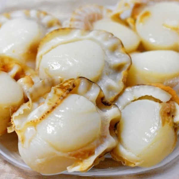 가리비찜 맛있게 만드는 법 가리비찜 간단 레시피