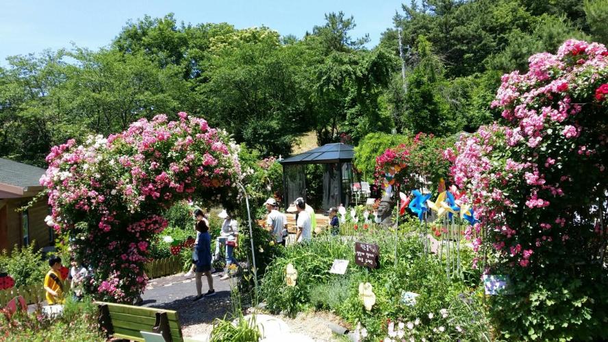 양평 용문산 산나물축제