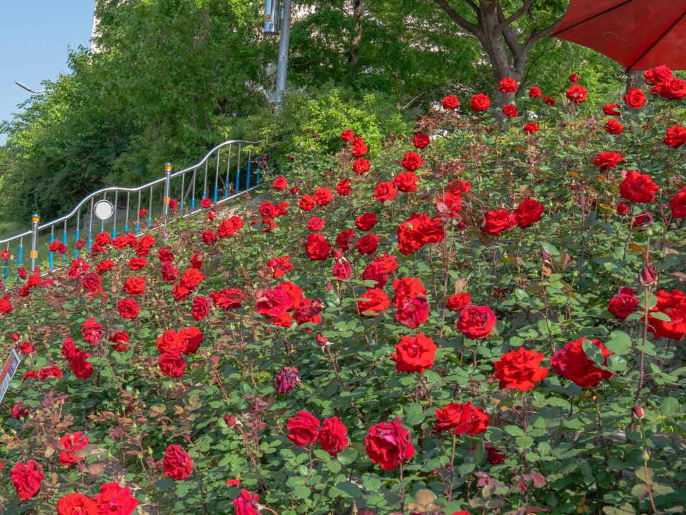 부산 정관 윗골공원