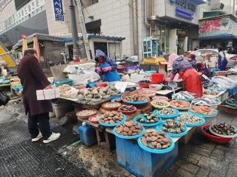 부산 자갈치시장 먹거리 투어 바다의 맛 체험_13