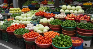 농식품 바우처 지원제도