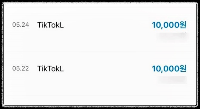 돈버는법 집에서