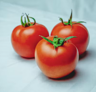 토마토 효능 부작용 고르는법 칼로리