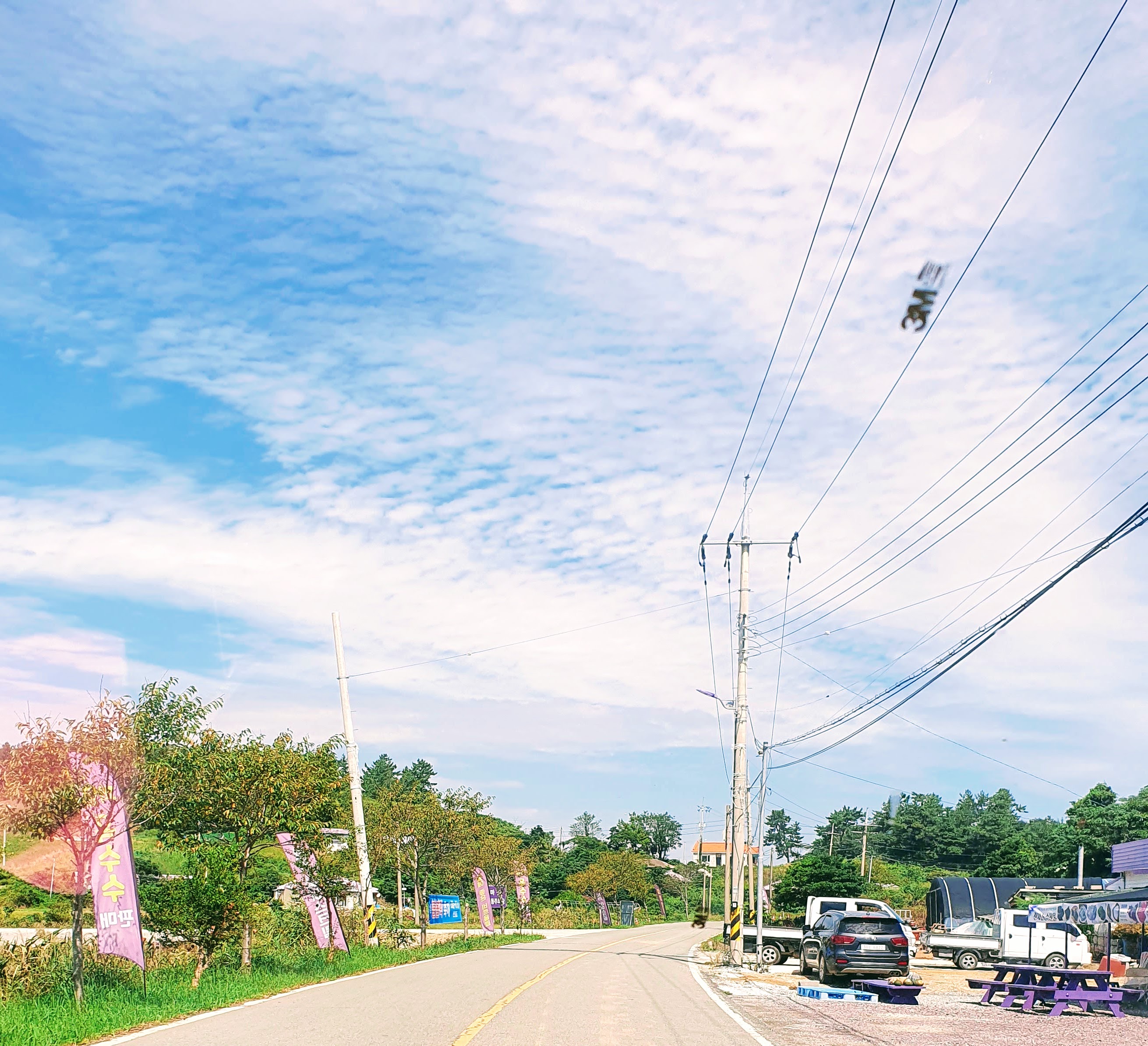 14. 퍼플섬가는길