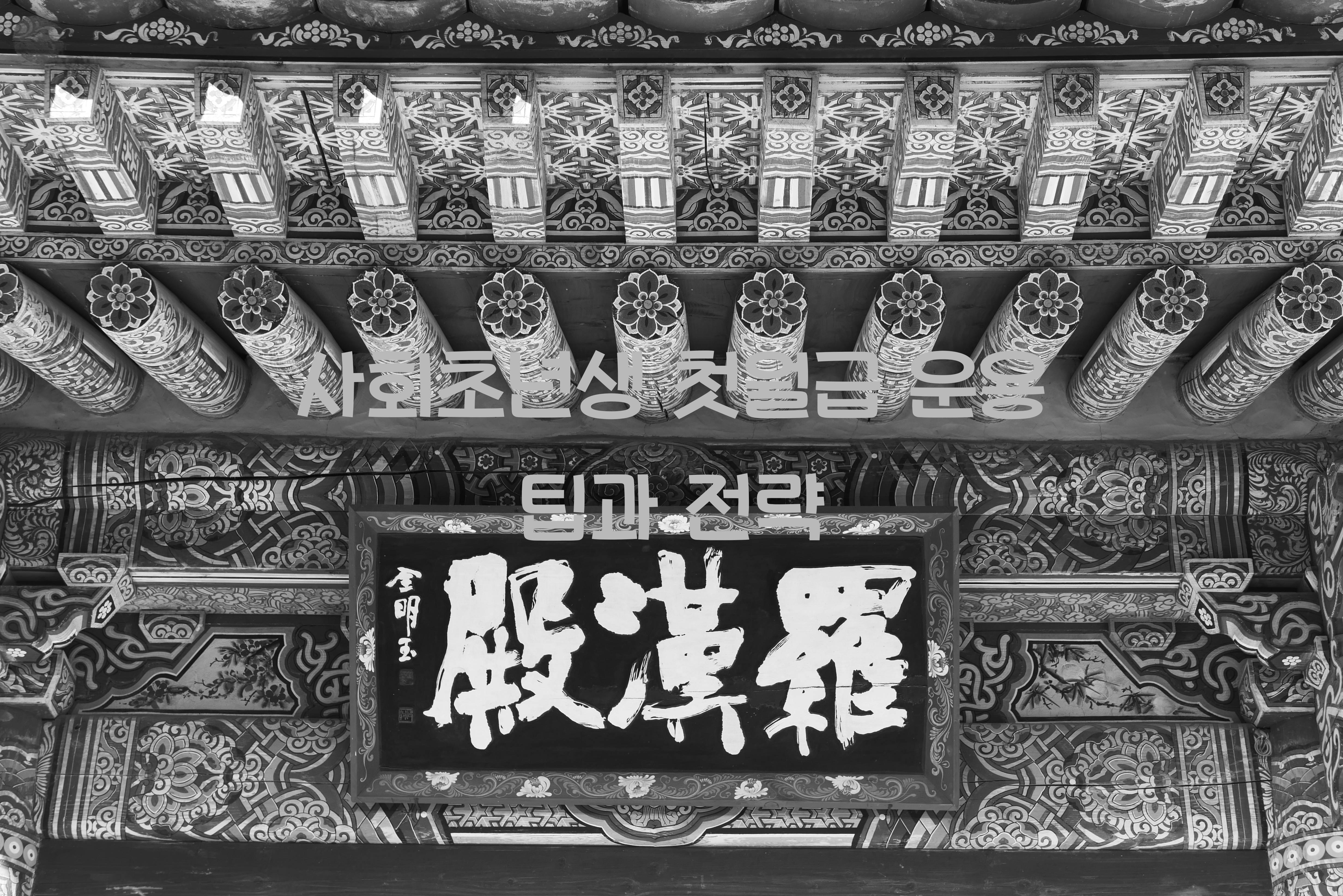 사회초년생 첫월급 운용