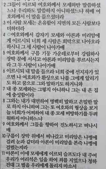 미리암 모세 누나 민수기 12장_23