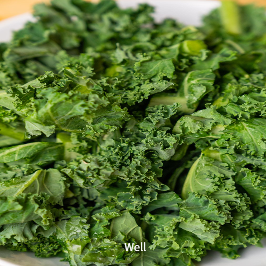 비염에 좋은음식