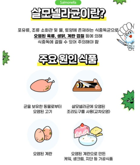 살모넬라 주요 원인 식품 관련 이미지