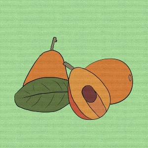 50대 건강검진4