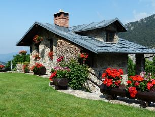 전월세 신고 방법