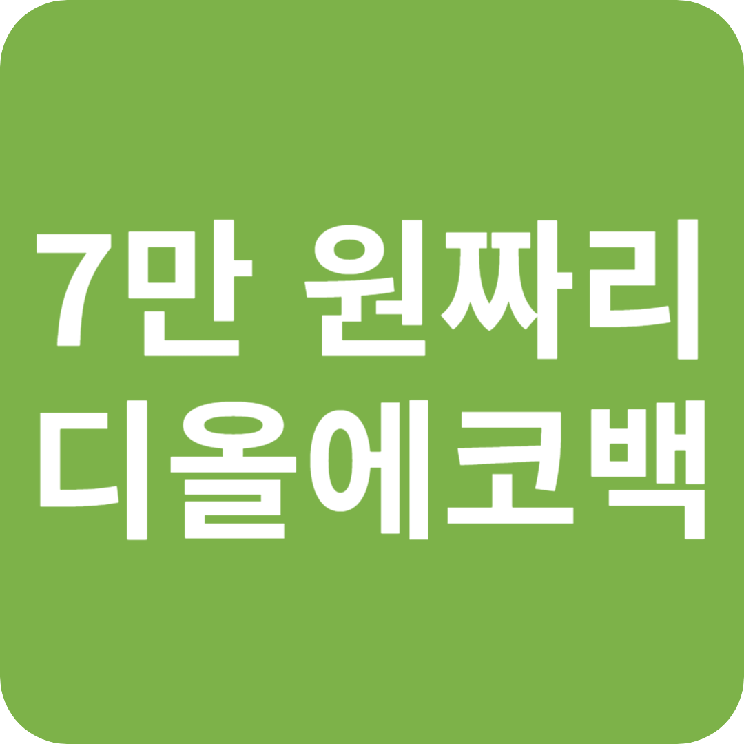 7만 원짜리 '디올 에코백' 품절 대란? 관련 이미지