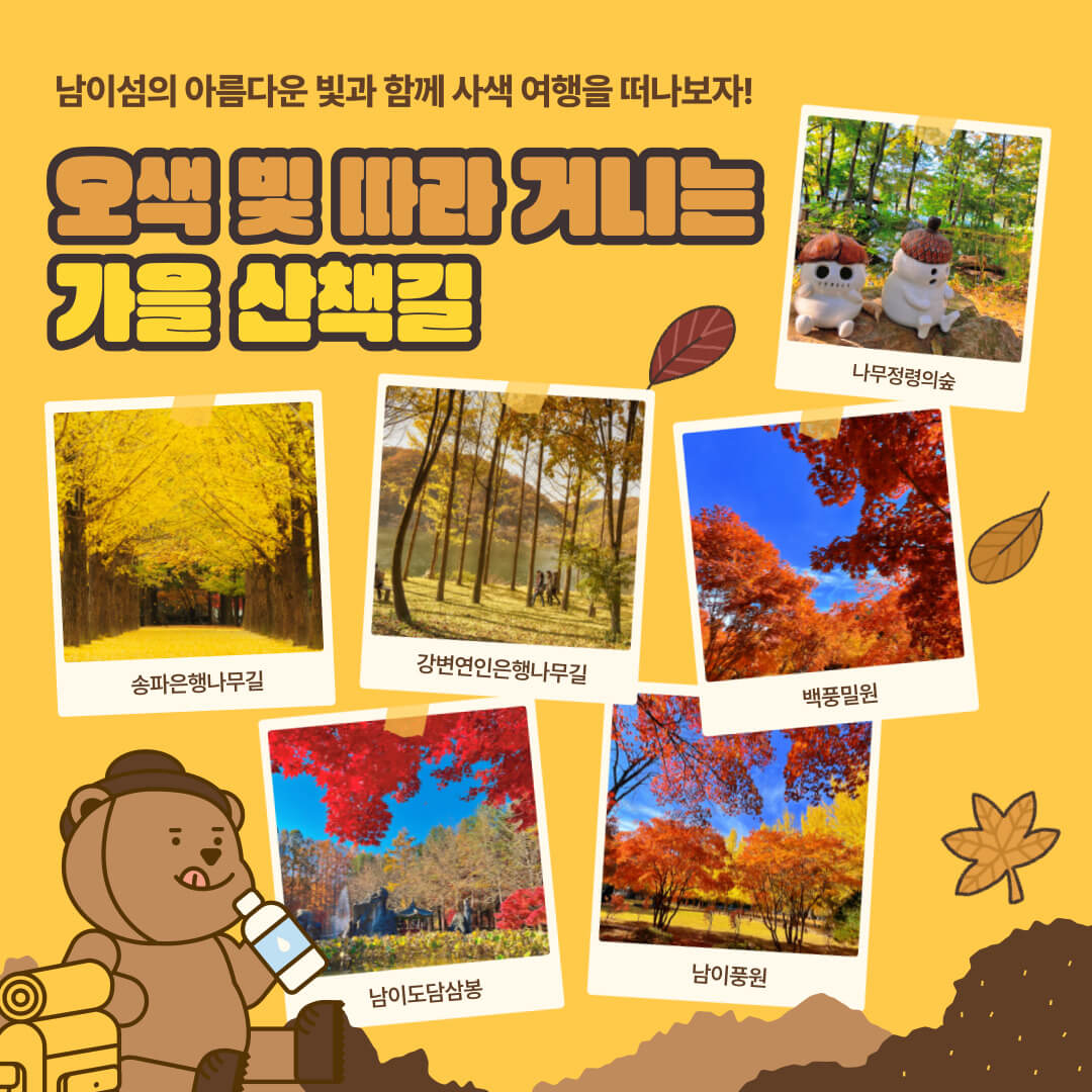 남이섬 가을 산책길