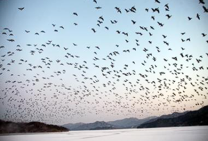 철원 가볼만한곳 추천