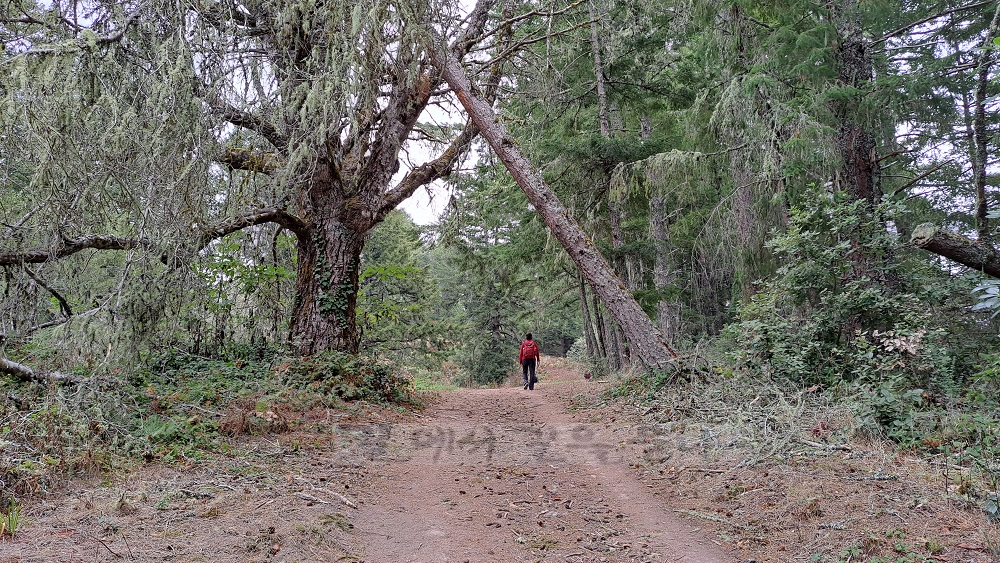 Purisima Creek Redwoods Open Space Preserve